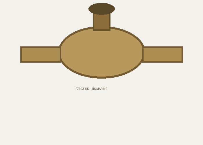 Globe valve bronze